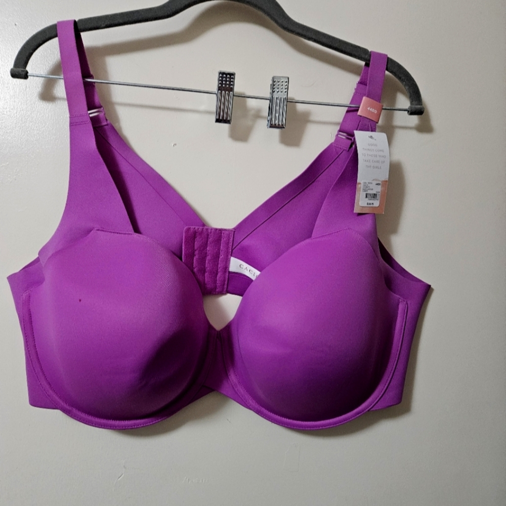 Cacique Vibrant Purple Bra